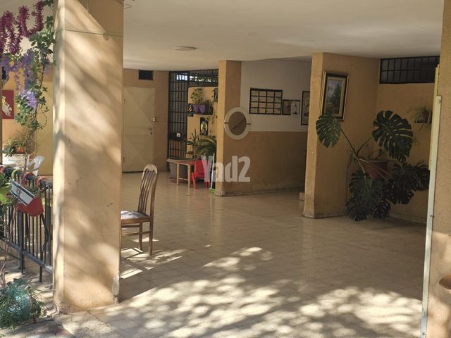 אילנות 