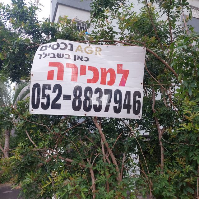 לסטר/רבוצקי