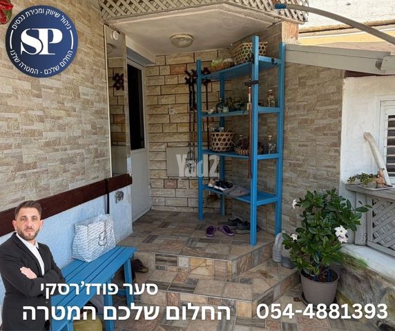 החסידה 