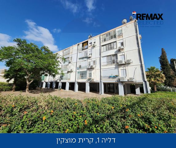 דליה 1