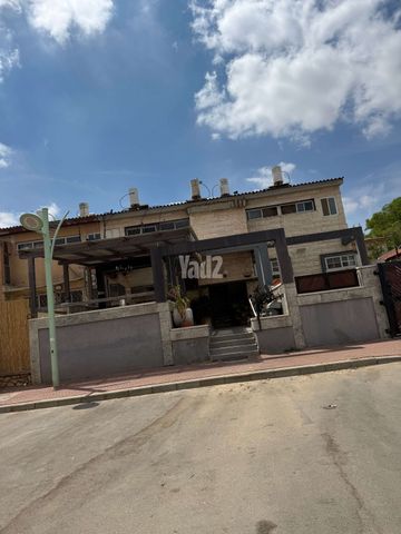 חזון אי"ש 