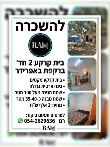 הרקפת 