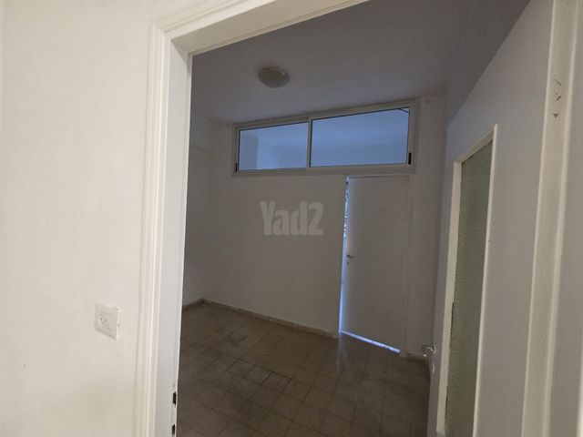 דוד מרכוס 