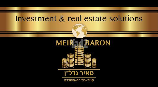 הסיטי