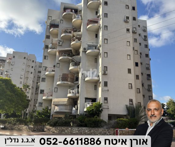 חיים משה שפירא 