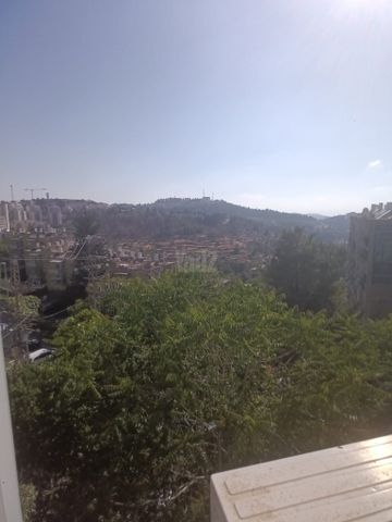 מאיר אבנר 