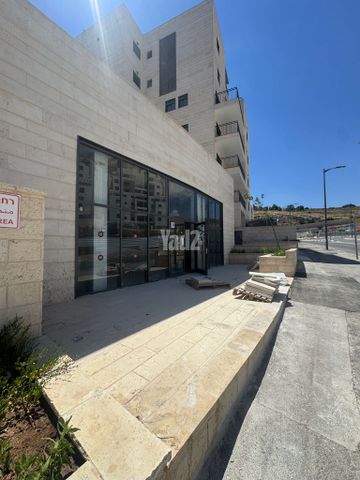 פרופסור יעקב נאמן 