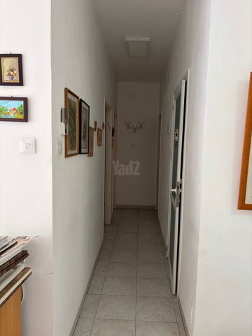 רחל 14
