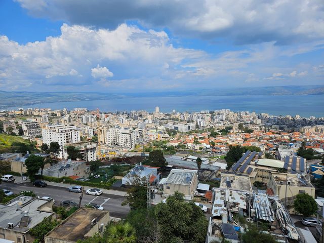 תמר 51