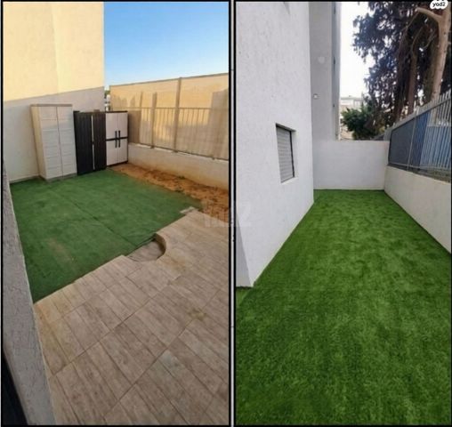 אלי כהן 5