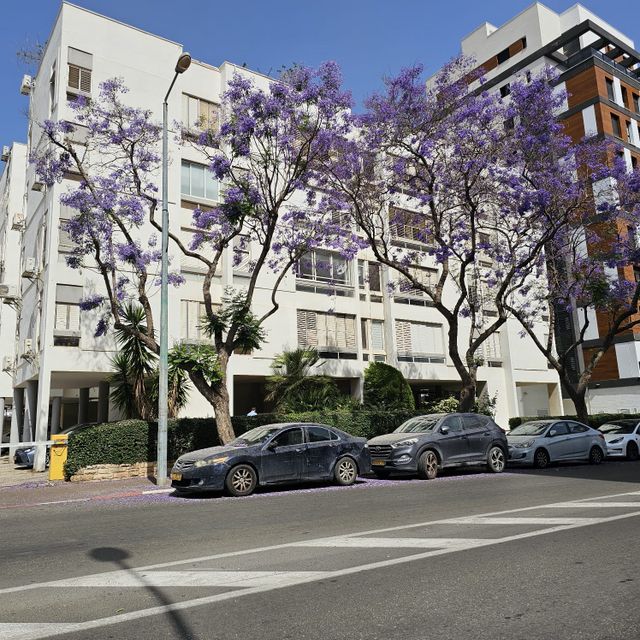 טרומפלדור 58