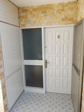 ברקת 40