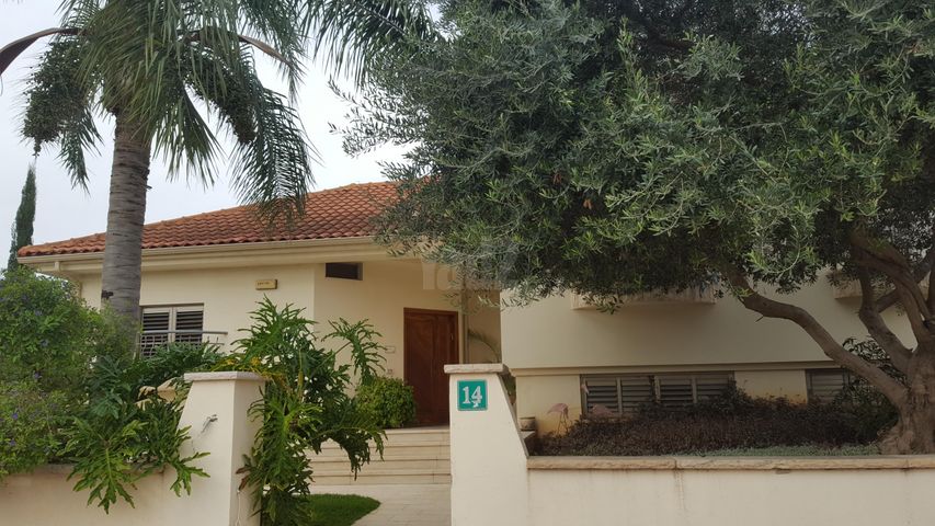 נורית 14