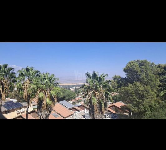 הרקפת 2