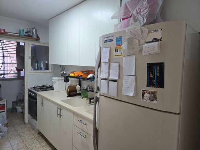 אריה מוצקין 19