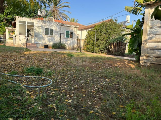 רינה 12