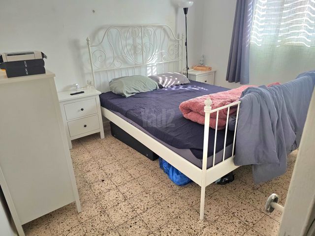 גרינבוים 14