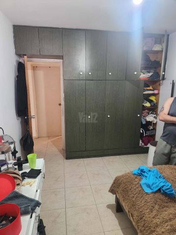 צה"ל 26