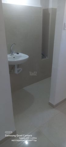 לוי אשכול 11