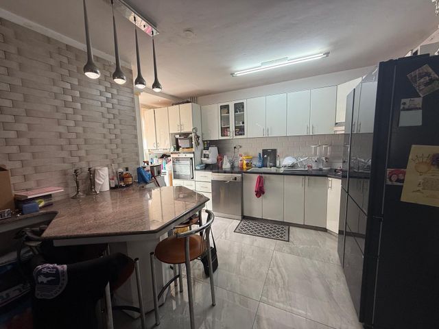 האורן 44