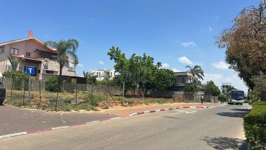 זית 