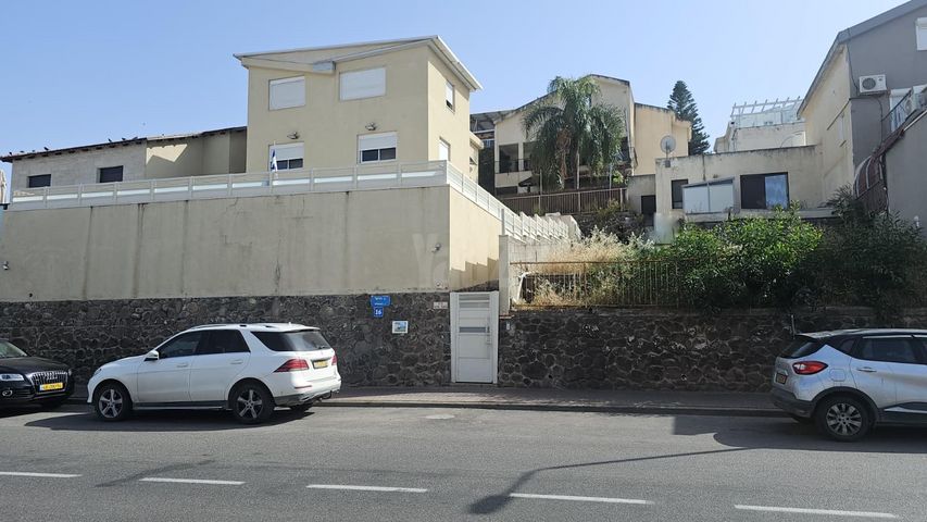 לולב 