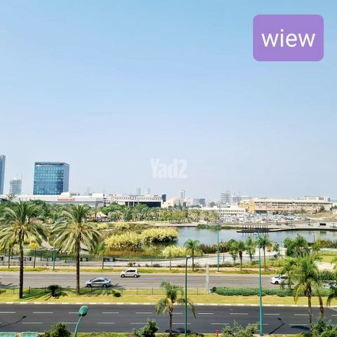 מבצע דקל 