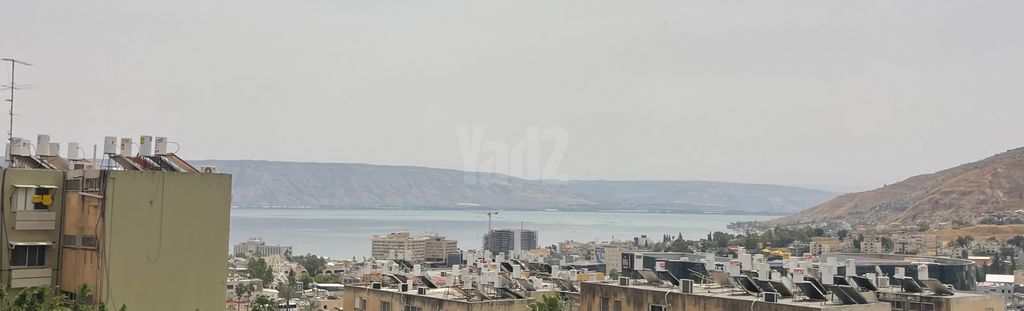 רוטשילד 
