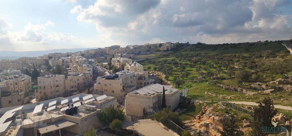 גג/ פנטהאוז למכירה בירושלים (תיווך) — 3