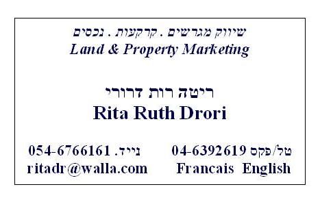 ברנדייס 
