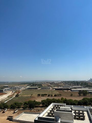 יער ביריה 6