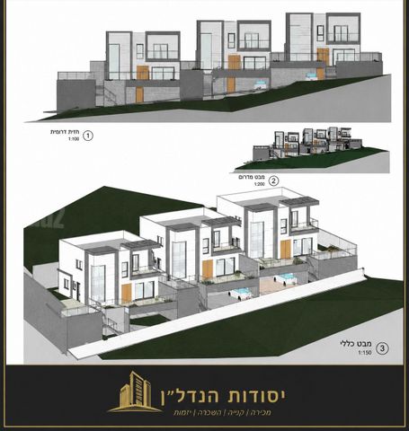 הברוש 1