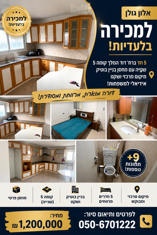 דוד המלך 