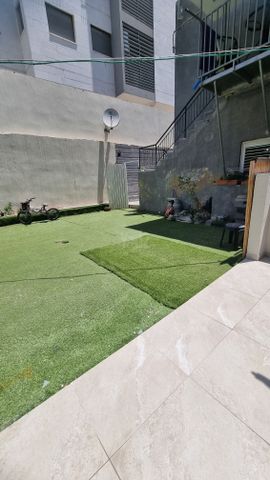 צבי ש"ץ 