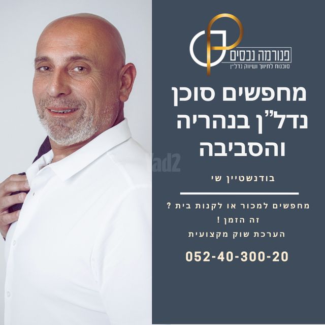 שמעון רייך 