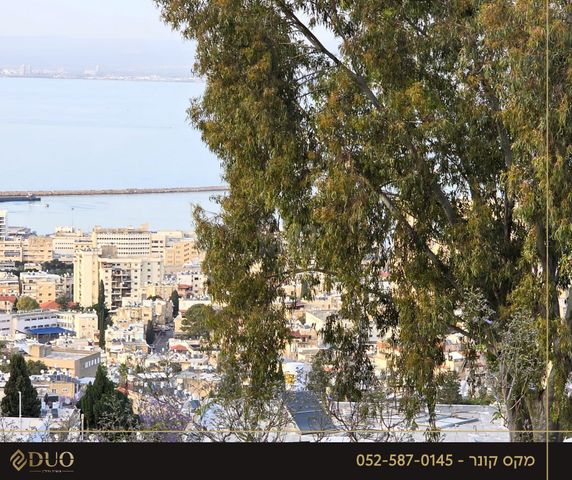 דירה, הדר עליון, חיפה