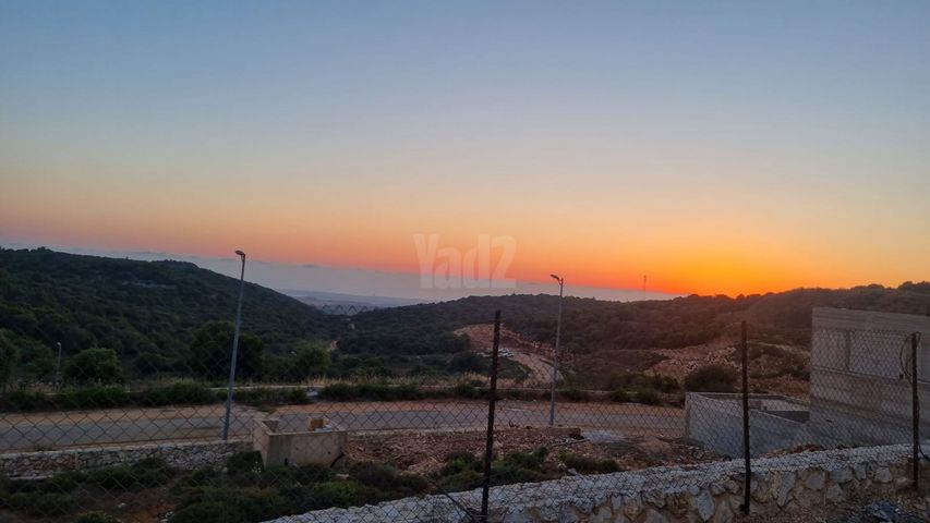 ספיר 31