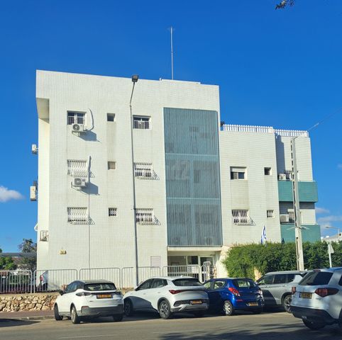 ריינס 13