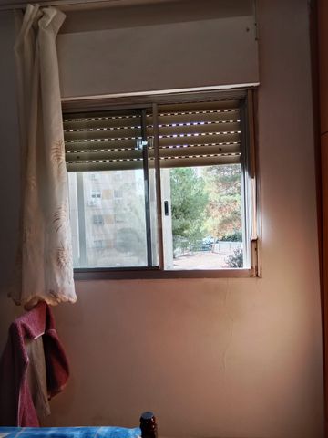 בן אליעזר 4