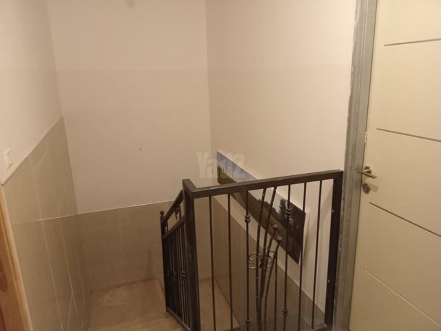 זוויתן 20