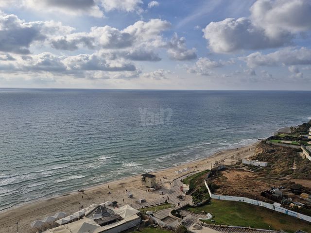 אלי לנדאו 4