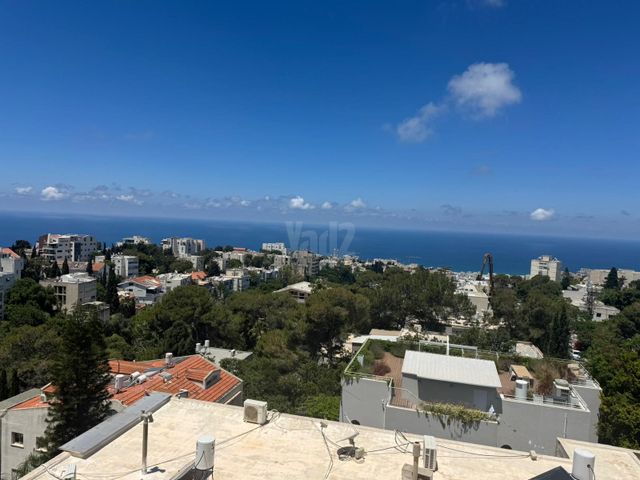 דוד פינסקי 