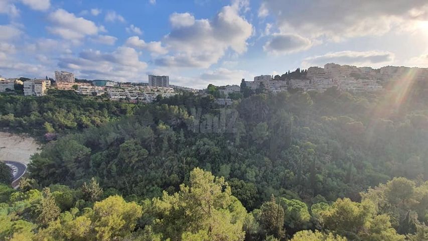 ליאון בלום 