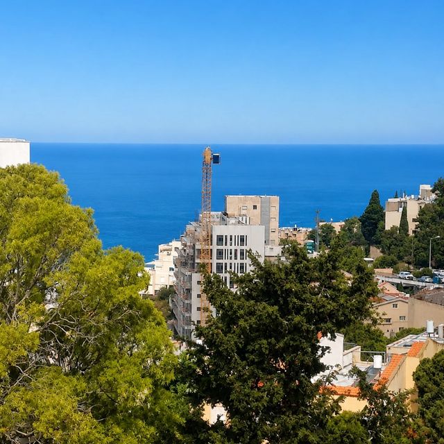 סמולנסקין