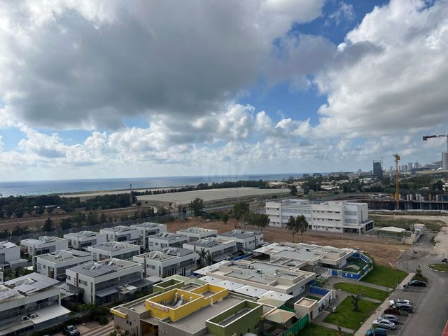 דולפין 
