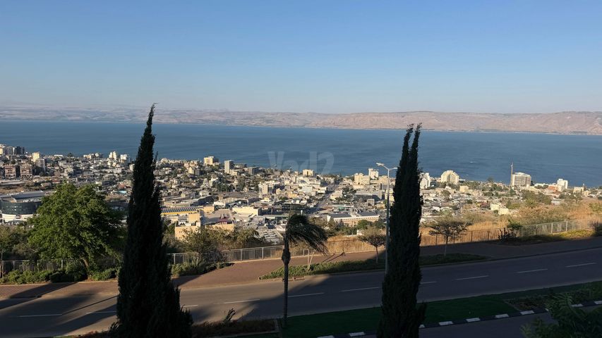 צאלון 
