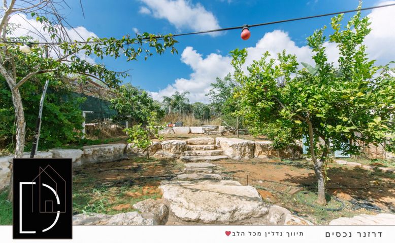 גיל עמל