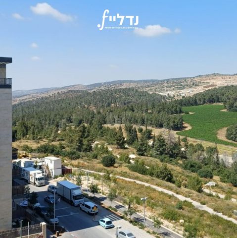 רועי קליין 7