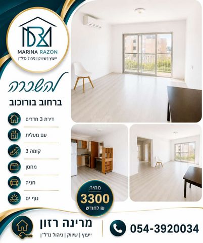 עמידר