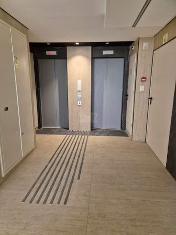 פרופסור יעקב נאמן 